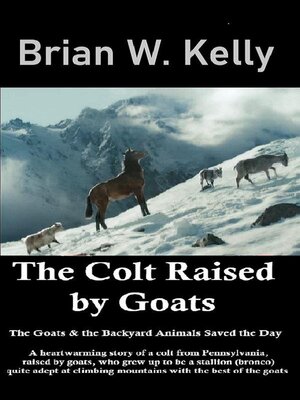 cover image of The Colt Raised by Goats